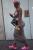 Dsc 0147 0209 9 
