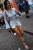 Dsc 0296 020924 11 